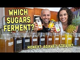 Which Sugars Ferment or Fail? Honey, Stevia, Agave? 🍺 Making Homemade Ginger Ale