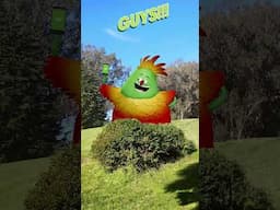 Cricket Wireless — Birding