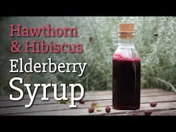 How to Make Hawthorn & Hibiscus Elderberry Syrup (Cardiovascular Support Herbs - Herbal Remedy)