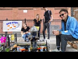 New York City's Controversial Fire Hydrant Fish Pond