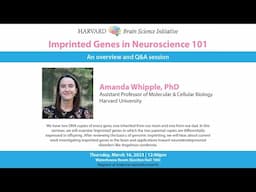 Imprinted Genes in Neuroscience 101 w/ Amanda Whipple