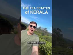 The Incredible Tea Estates of Kerala, India 🇮🇳