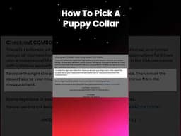 Choosing The Right Size Collar For Your Puppy