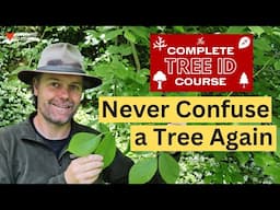 Become a Tree Expert with The Complete Tree ID Course