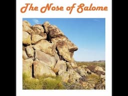 The Nose of Salome