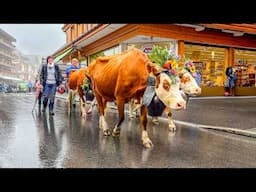 Switzerland 🇨🇭 Life in Isolated Swiss Villages 🏘 4K