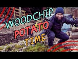 What's the Best Way to Plant Potatoes - Planting Potatoes in Woodchips