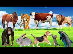 Sounds of wildlife animals sounds, familiar animals: cats, dogs, horses, Elephants, cows - Part 2