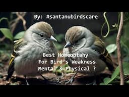 AVIAN Expert Shares Top Homeopathy Secrets for Birds' Mental and Physical Wellbeing!