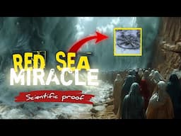 Historical Evidence of the Red sea miracle | Red sea crossing discovered | Hazrat Musa | Amber Voice