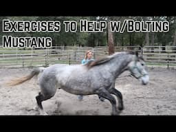 Exercises to Help Bolting Mustang  | Salt Wells Creek 2024