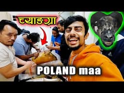 Rs 9000 maa 30 Kg ko Chyangra Payiyo ! Poland Maa Khasi Hunting | Gorkhey Vlog 484 | Prawesh Upreti