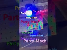 Party Moth!! #disco #moth#lunamoth