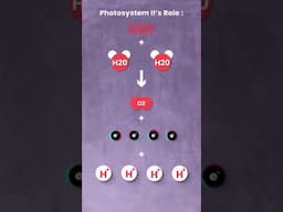 Photosystem II Powers All Life On Earth #shorts