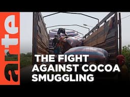 Ivory Coast: Cocoa Smuggling | ARTE.tv Documentary