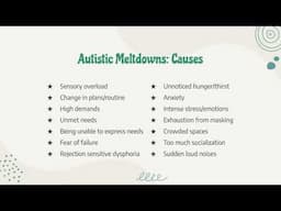 Burnout, Shutdowns, Meltdowns: Understanding ASD and Neurodivergence (Part 5 of 6)