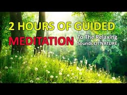 Relaxing Music and Sounds of Nature | 2 Hours of Soothing Nature Sounds with Music for Meditation