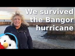 NOT Sailing Northern Ireland - Storm Darragh - The Bangor hurricane - Ep. 368