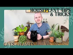 Cats + Plants – How Do I Have A Cat & Hundreds Of Plants? | Houseplant Tips & Tricks Ep. 32