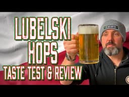 Lubelski (Lublin/Lubelska) Polish Hops - Taste Test, Review and Flavour Profiling