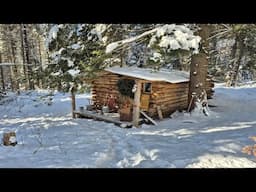 What's Inside My Cabin? Vintage & Antique Items.