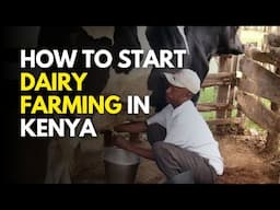 How to start Dairy farming with Nothing