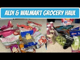 Weekly Grocery Haul for One | Aldi & Walmart Grocery Haul