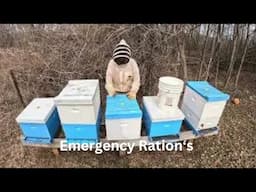 Beekeeping: Corbin feeding Sugar Bricks to Queen Breeders!