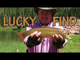 LUCKY DOG 🐕  Backpacking Fishing Adventure (Catch and Cook)