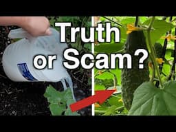 Amazing homemade fertilizer for cucumbers: truth or another scam?