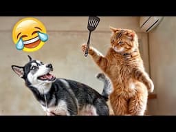 CLASSIC Dog and Cat Videos 🐶 😹 Funniest Cats and Dogs 2024 😸🐶