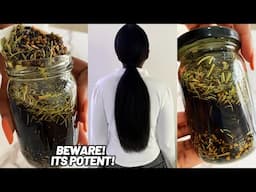 The Hair Growth Oil that Transformed Our Hair to its Thickest & Longest! 😱