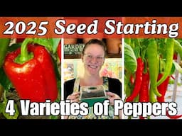 2025 Seed Starting 🌱: 4 Varieties of Peppers 🌶️🫑 || Step-by-Step Seed Starting Guide