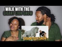 WALK WITH THE GIANT LION SNOW | American Couple Reacts to Dean Schneider & The Lion Pride