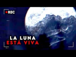 LOCAL 58 | El Canal que MANIPULÓ Todo ESTADOS UNIDOS