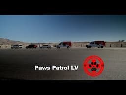 Paws Patrol LV