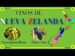 Vinos de NUEVA ZELANDA🥂 [Clima, uvas y regiones vinícolas]