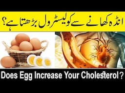 Does Eating Eggs Increase Your Cholesterol