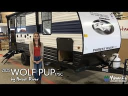 2025 Wolf Pup 17SC by Forest River