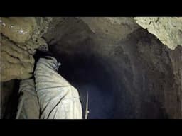 Bottomless Pit Found Inside A Random Hole In The Woods