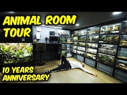 FULL COLLECTION TOUR - Animal Room - 10 years of THE DARK DEN