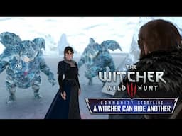 New Witcher 3 Quest (A Witcher Can Hide Another)