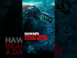 TRAILER: HAWAII'S BEAUTY HIDES A DARK SECRET