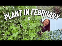 32 Awesome Veggies You Should Plant in February