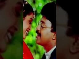 Rajasekhar's Deerga Sumangali Bhava Telugu Movie | Pandiri Mancham Song | Ramya Krishna | #ytshorts