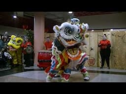 Kwan Family Lion Dance at Lunar New Year 2025 in Cleveland