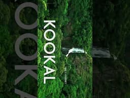 #kookal #kodaikanal #waterfall #nature #drone