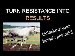 Hacks Tips Horse Training-Conditioning-Riding-Schooling-Working. Getting The Horse/s Consent