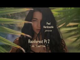 Rainforest 40  -  Pt 2 -  Chill Vibe