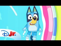 FULL BLUEY MINISODE | Whirlpool | @disneyjr x @blueyofficalchannel